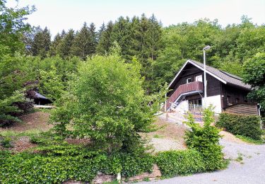 Percorso A piedi Lennestadt - Rundweg Altenvalbert = - Photo