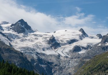 Tour Zu Fuß Samedan - Roseg - Chamanna da Tschierva - Photo