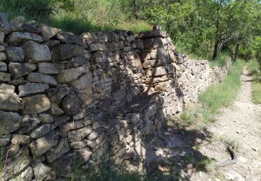 Trail Walking Lamalou-les-Bains - Lamalou-Notre Dame de Capimont - Photo