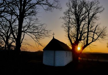 Tour Wandern Bièvre - Marche Adeps Oizy 5 km (poussettes-PMR) - Photo