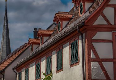 Excursión A pie Volkach - Panoramaweg Fahr / D - Obst-Wein-Main - Photo