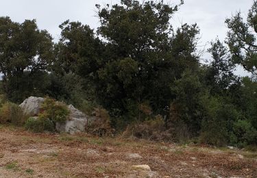 Trail Walking Saint-Marc-Jaumegarde - st.marc.alain.francoise - Photo