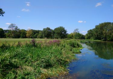 Tour Wandern Montbazon - Montbazon - 10.3km 100m 2h15 - 2018 05 08 - Photo