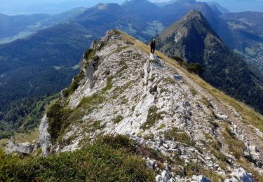 Trail Walking Aillon-le-Jeune - BAUGES: MONT COLOMBIER - Photo
