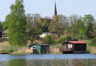 Randonnée A pied Kratzeburg - Um den Käbelicksee - Photo