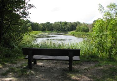 Randonnée A pied Westvoorne - Scholeksterroute - Photo