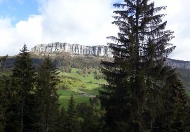 Tour Wandern Entremont-le-Vieux - Roche-Veyrand-2021-05-27-G3 - Photo