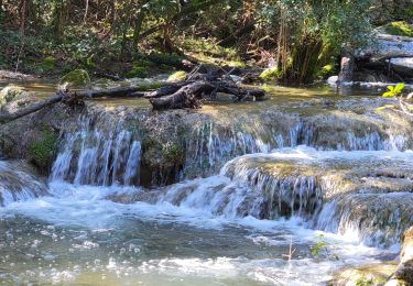 Excursión Senderismo Nans-les-Pins - 