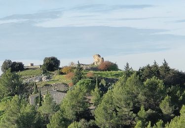 Randonnée Marche Mérindol - PF-Mérindol - La Garrigue - Peyre Plate - Photo