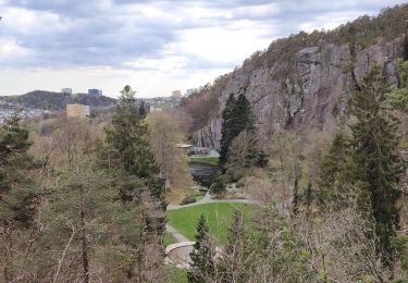 Randonnée Marche  - Parc naturel de Kristiansand  - Photo