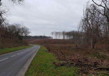 Tocht Stappen Saint-Aubin-Épinay - 20190115-Epinay - Photo
