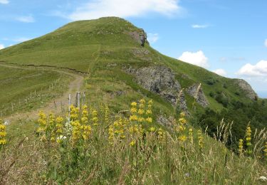 Randonnée A pied Le Falgoux - Sur la route des transhumances étape 2 - Photo