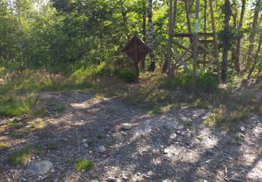 Trail Walking Trois-Ponts - Balade 3- Ponts via Rochlinval, Quartier, Dairomont et retour - Photo