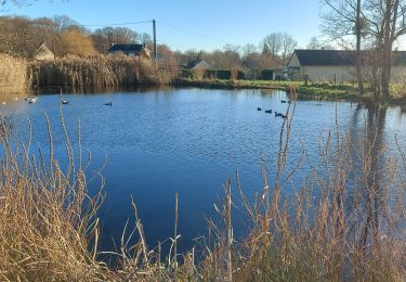 Tour Wandern Belbeuf - 20221227 Belbeuf St Adrien - Photo