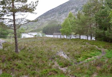 Excursión A pie  - Creag Bheag Trail - Photo