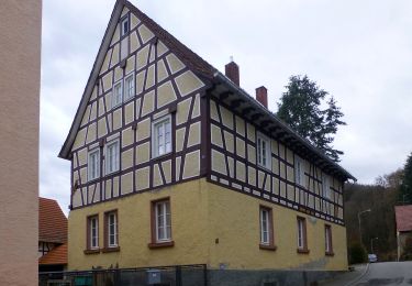 Tour Zu Fuß Rimbach - Rundwanderweg Rimbach Mitlechtern Im Dorf 4: Steigkopf-Weg - Photo