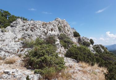 Excursión Senderismo Malaucène - Le cirque de Saint Amand et le Pas du Loup  - Photo