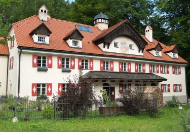 Randonnée A pied Aschau im Chiemgau - Wanderweg 10 - Aschau - Photo