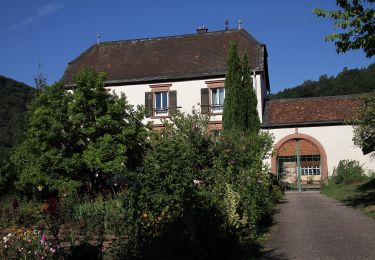 Trail On foot Wissembourg - Croix verte - Photo