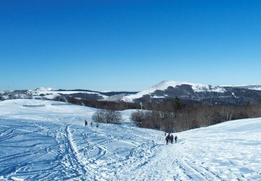 Trail Snowshoes Saint-Agnan-en-Vercors - plateau de beure - Photo