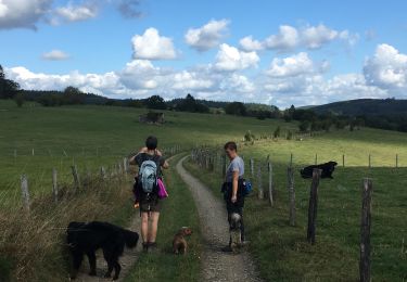 Tour Wandern Lierneux - Bra 2020 - Photo