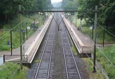 Tour Zu Fuß Renkum - NS-wandeling Hemelse Berg - Photo