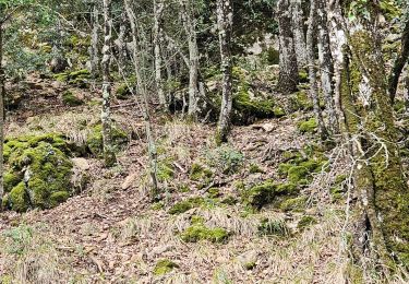 Randonnée Marche Mazaugues - De Mazaugues vers la glacière Pivaut - Photo