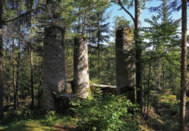 Tocht Te voet Gemeinde Arbesbach - Beeren/Bärenweg 81 - Photo