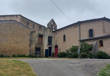 Trail Walking Hounoux - CC_Piemont_BC_08_Hounoux_Mirepoix_20240619 - Photo