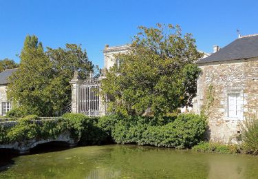 Excursión A pie Divatte-sur-Loire - La Haute Chapelle - Photo