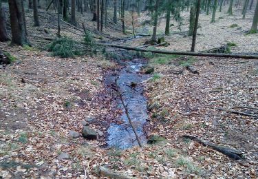 Excursión A pie Kleinkahl - Schwarzer Fuchs, Rundwanderweg Kleinkahl - Photo