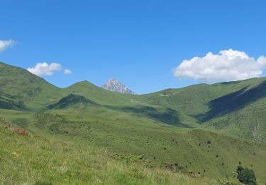 Excursión Senderismo Ancizan - 20240625 Lac d Arou - Photo