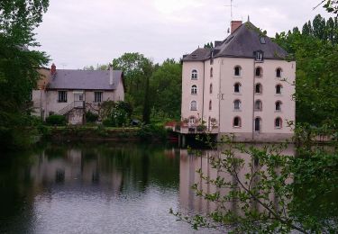 Randonnée Course à pied Saint-Pryvé-Saint-Mesmin - Olivet Découverte  - Photo