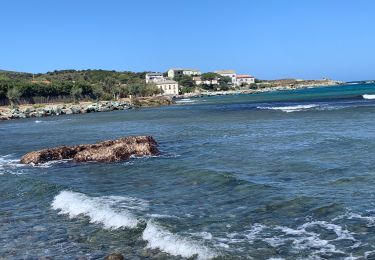 Randonnée Marche Rogliano - Cap Corse Macinaggio à Barcaggio, via tour d’Agnello - Photo