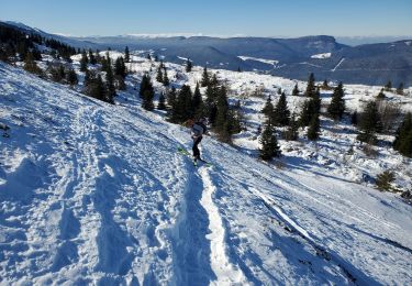 Randonnée Ski de randonnée Lans-en-Vercors - Lans en Vercors par combe oursiere  - Photo