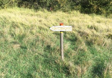 Tour Wandern Aurel - Butte de l'Aigle - Photo