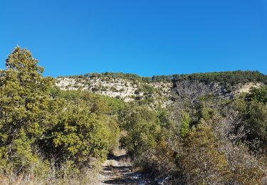 Randonnée Marche nordique Saint-Étienne-de-Gourgas - Forêt de Notre-Dame de Parlatge - Photo