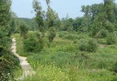 Tocht Stappen Borgworm - WACHNET WAREMME - Photo