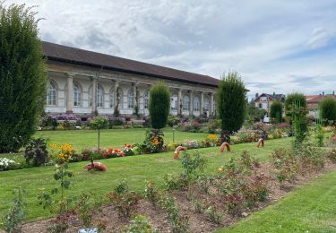 Randonnée Marche Épinal - Epinal - Photo