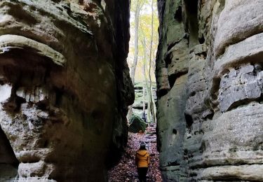 Randonnée Marche Berdorf - Les colonnes rocheuses de Berdorf - Photo