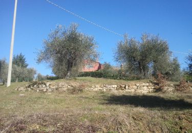 Tocht Te voet Passignano sul Trasimeno - Castel Rigone - Torre Fiume - Photo