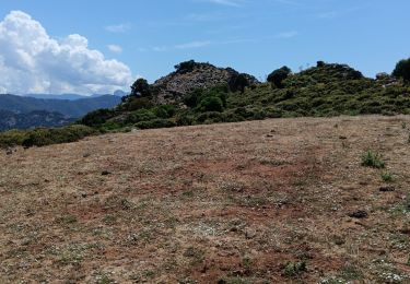 Tour Wandern Galéria - boucle de capu tondu  - Photo