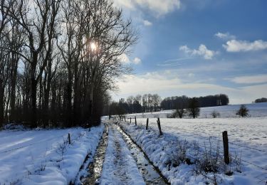 Tour Wandern Tinlot - Ramelot sous la neige - Photo