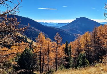 Randonnée Marche Le Dévoluy - Les 5 cols via La Cluse - Dévoluy - Photo