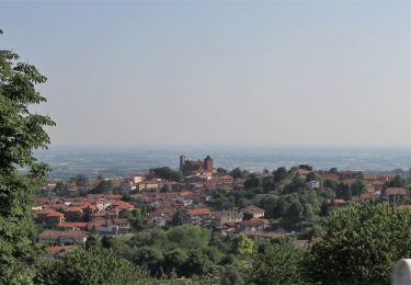 Tocht Te voet Pecetto Torinese - Sentiero 36. 