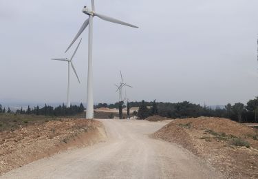 Percorso Mountainbike Minerve - minerve - Photo