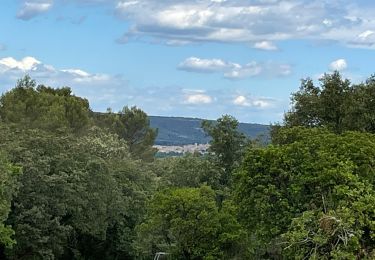 Tocht Stappen Uzès - La vallée de l’Eure - Photo