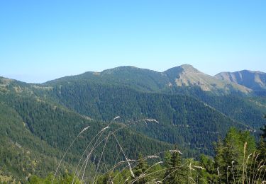 Randonnée A pied Moulinet - Cime du Diable - Photo