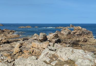 Trail Walking Plougrescant - La pointe du château et le gouffre en boucle - 06 août 2025 - Photo