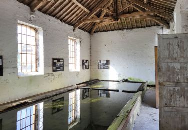 Trail Walking Bertrix - Auby sur Semois 140324 - Photo